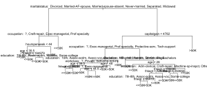Full Decision Tree With R