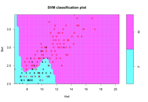 Radial SVM Radial SVM